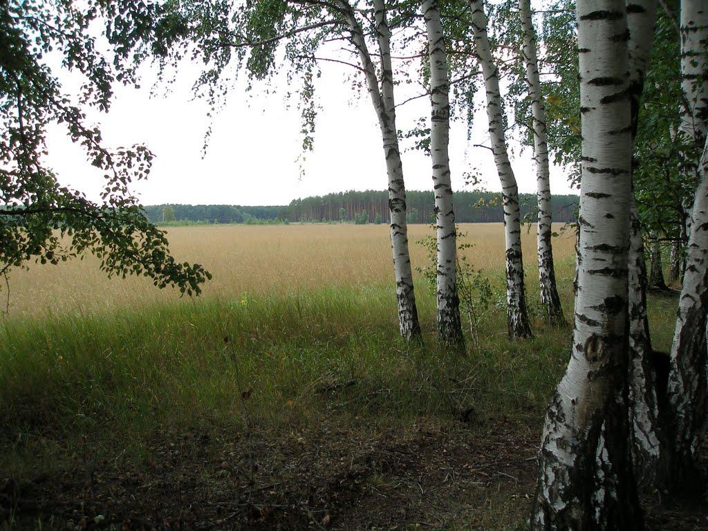 Лозівок з panoramio.com - Lozivok