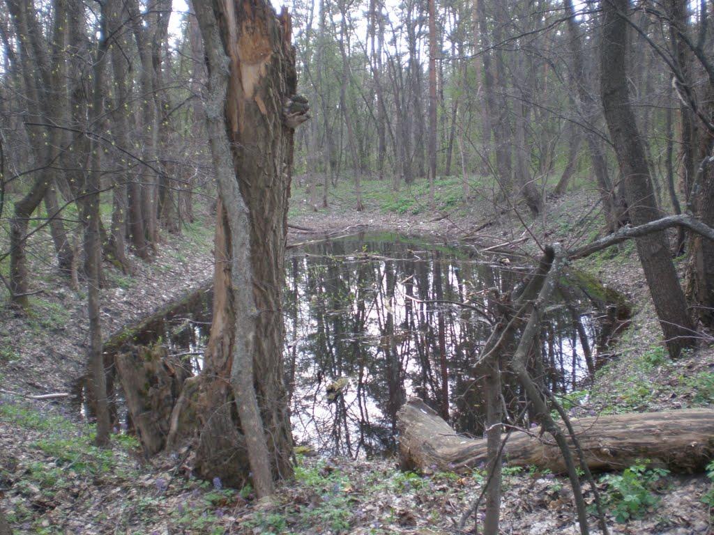 Терентіївка з panoramio.com - Терентиевка