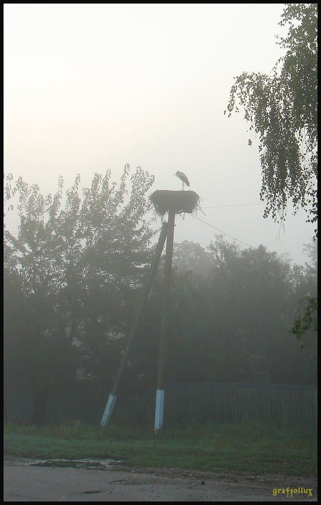 Мохначі з panoramio.com - Мохначі