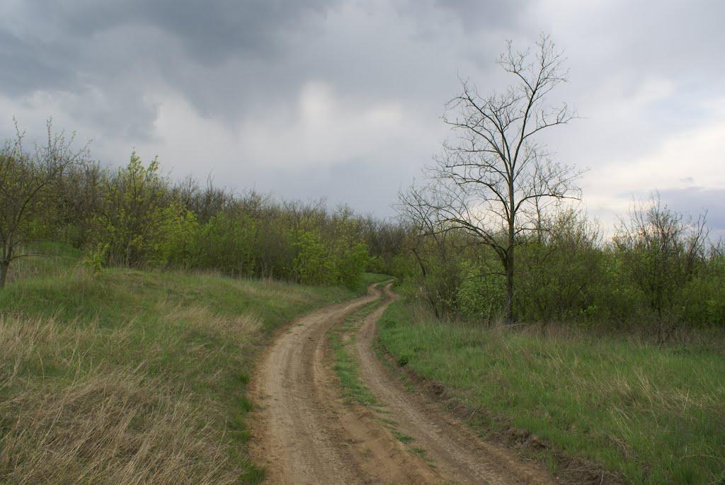 Сарата з panoramio.com - Сарата
