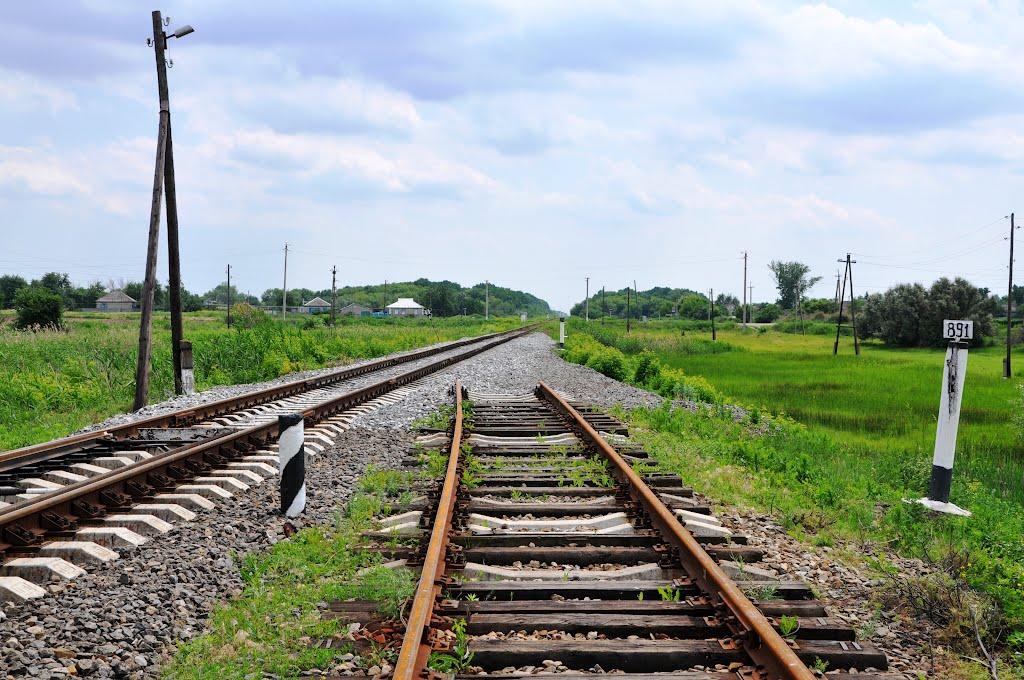 Половинкине з panoramio.com - Половинкине