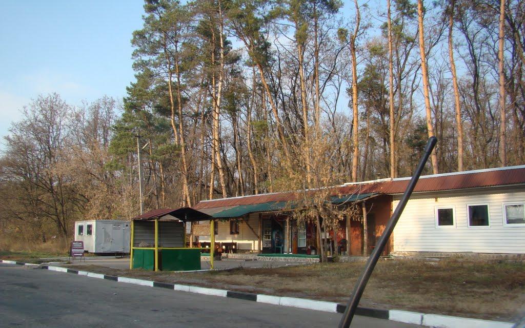 Нова Осота з panoramio.com - Новая Осота