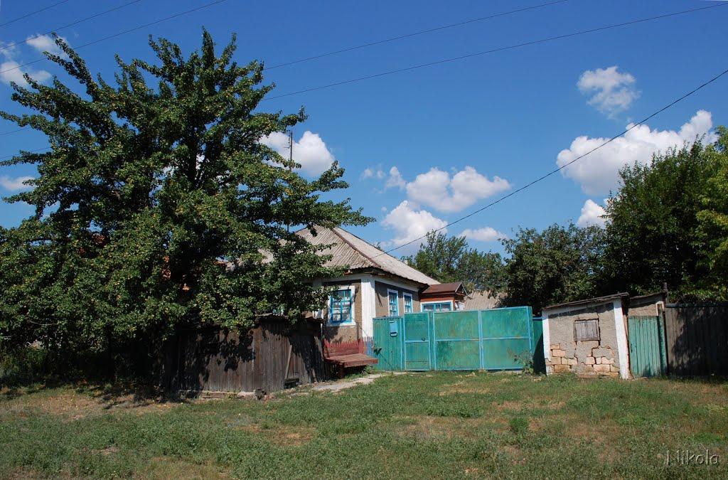 Голубівське з panoramio.com - Голубовское