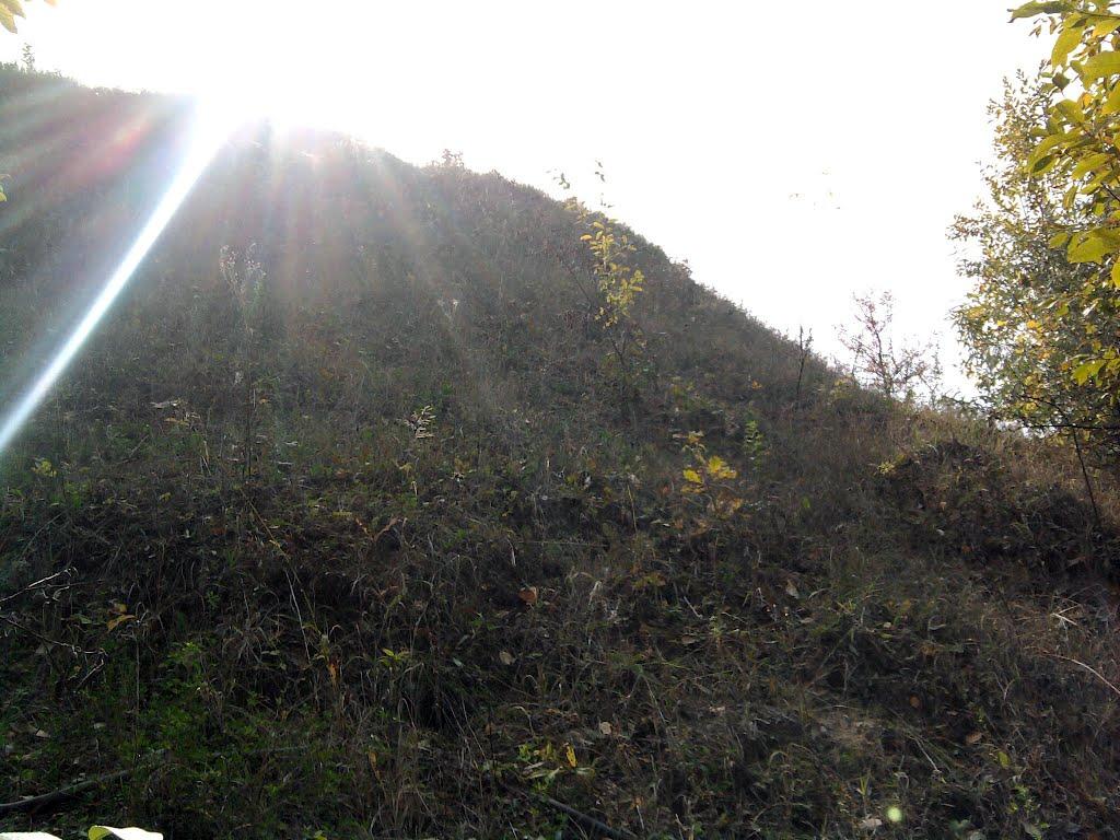 Пугачівка з panoramio.com - Пугачівка