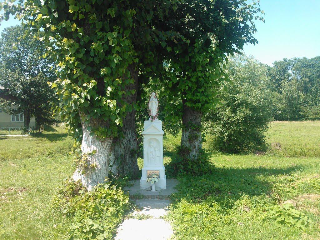 Добрівляни з panoramio.com - Добрівляни