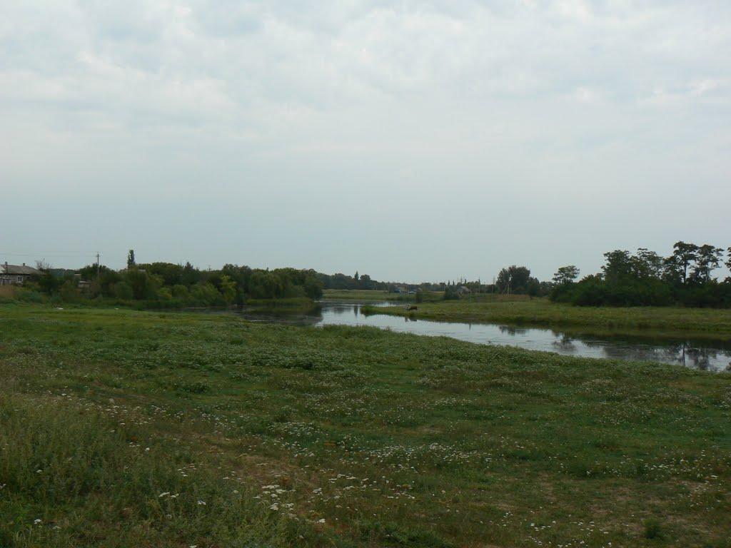 Старомлинівка з panoramio.com - Старомлинівка