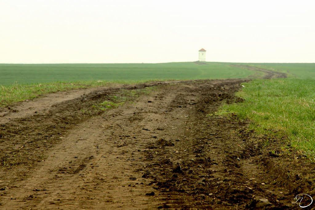 Биків з panoramio.com - Быков