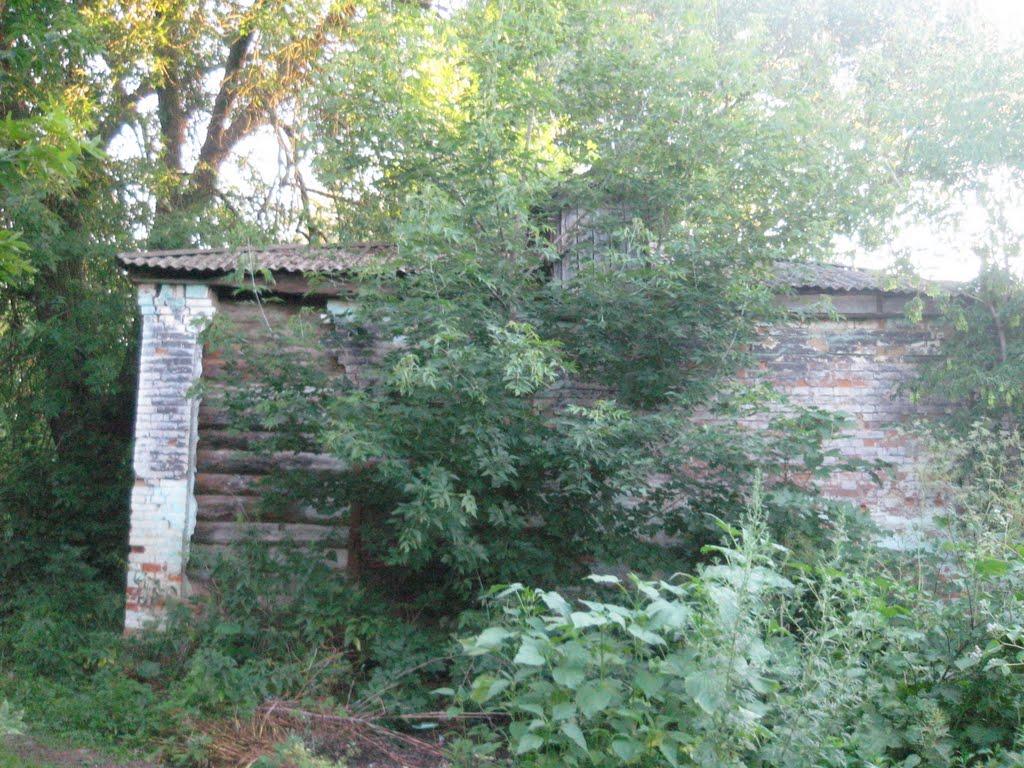 Стара Іванівка з panoramio.com - Стара Іванівка