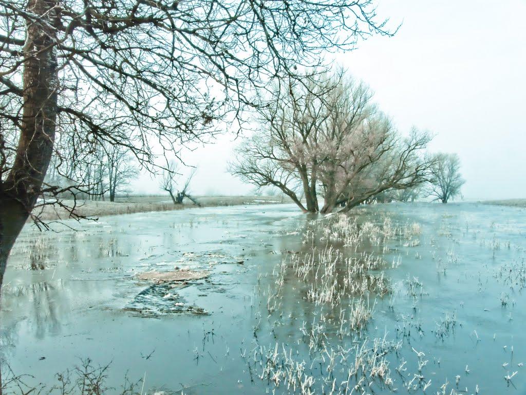 Слов'яносербськ з panoramio.com - Славяносербск