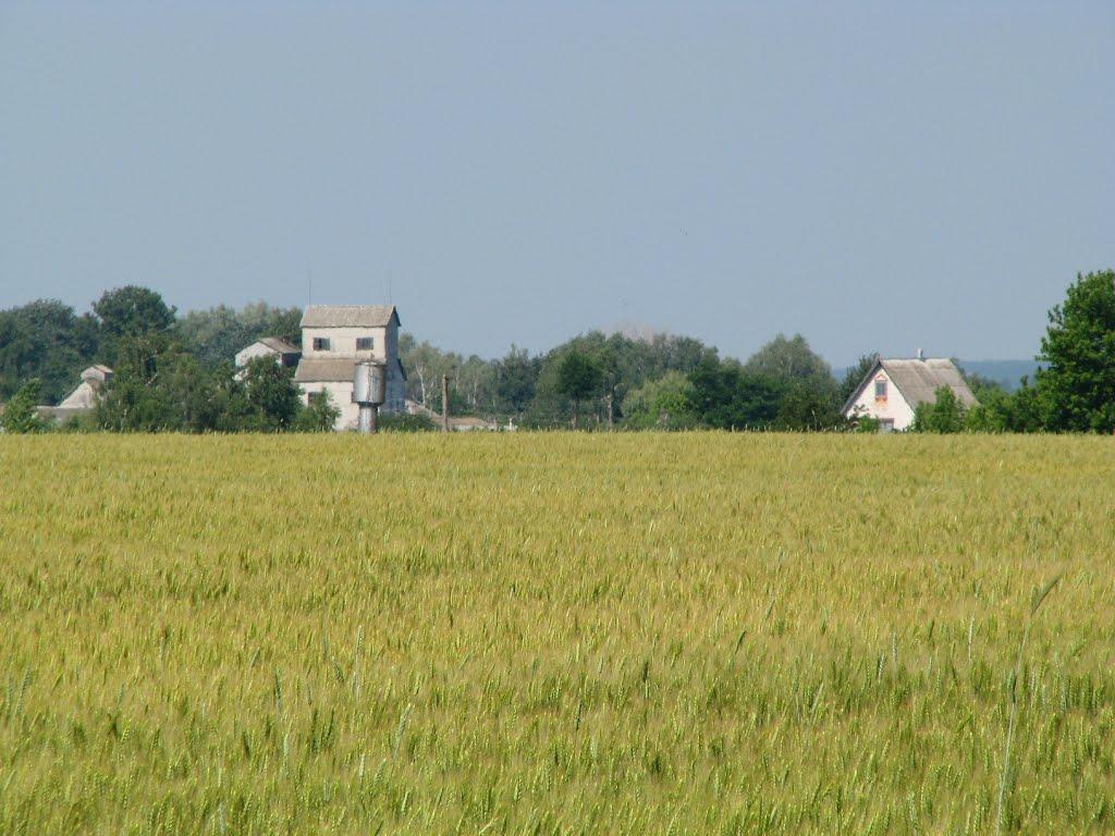 Марківці з panoramio.com - Марковцы