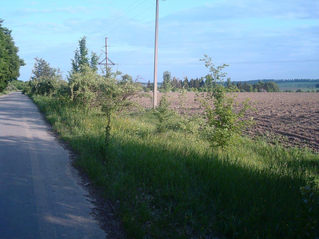 Ставчани з panoramio.com - Ставчаны