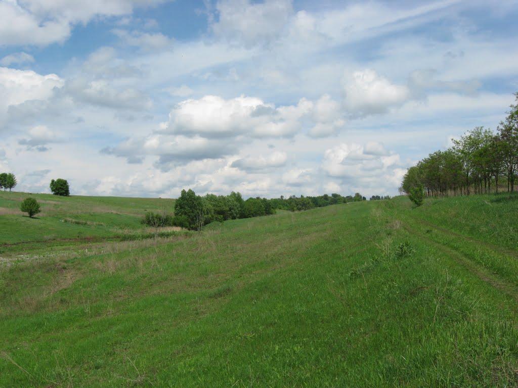 Лікарівщина з panoramio.com - Likarivschyna