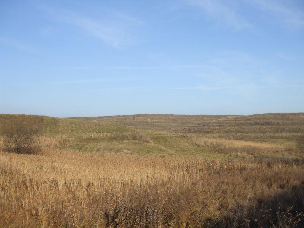 Могилівка з panoramio.com - Могилевка