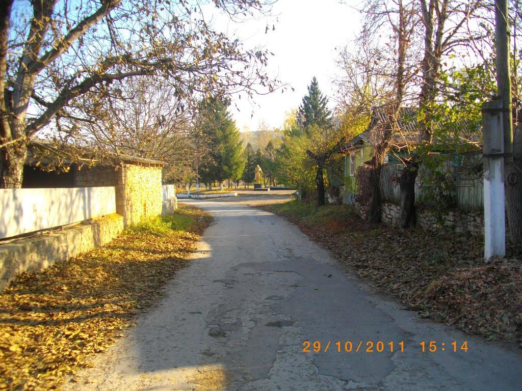 Суботівка з panoramio.com - Суботівка