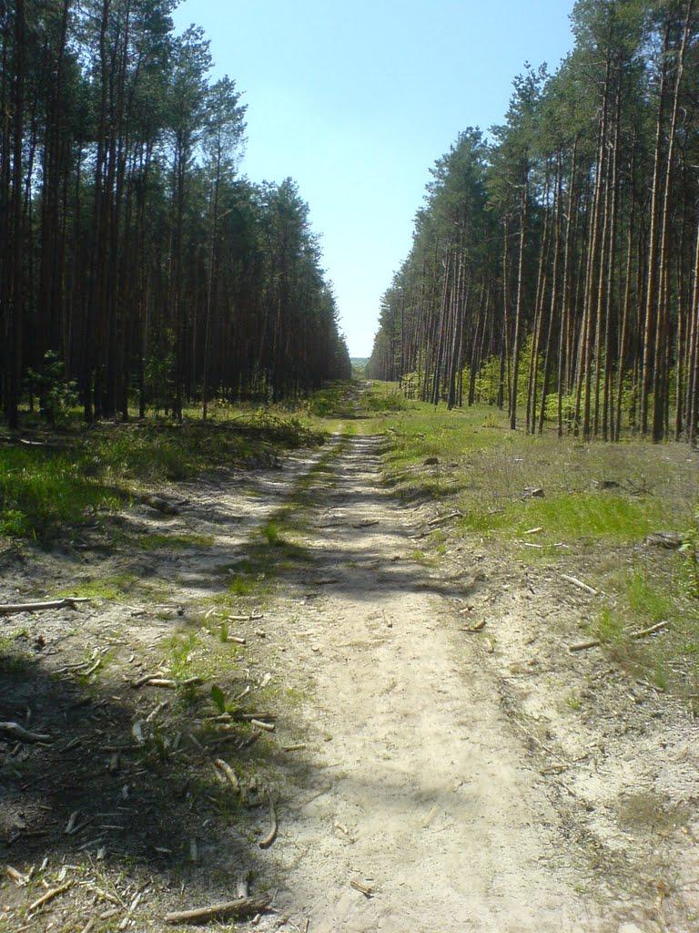 Морозівка з panoramio.com - Морозівка