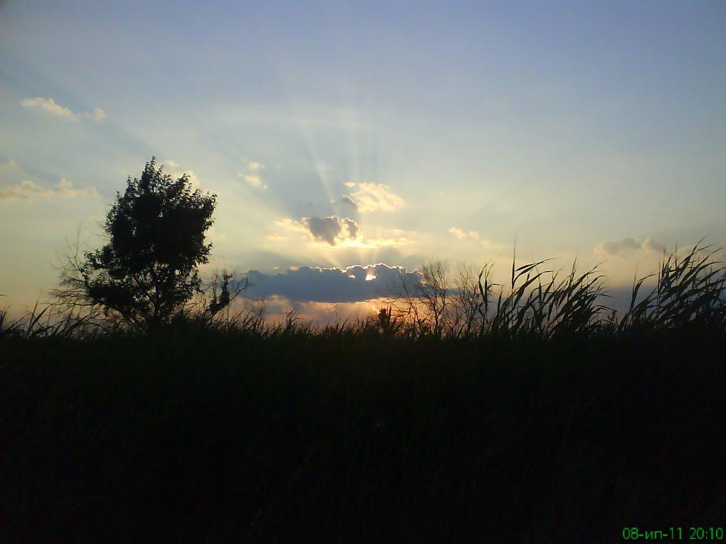 Солончаки з panoramio.com - Солончаки