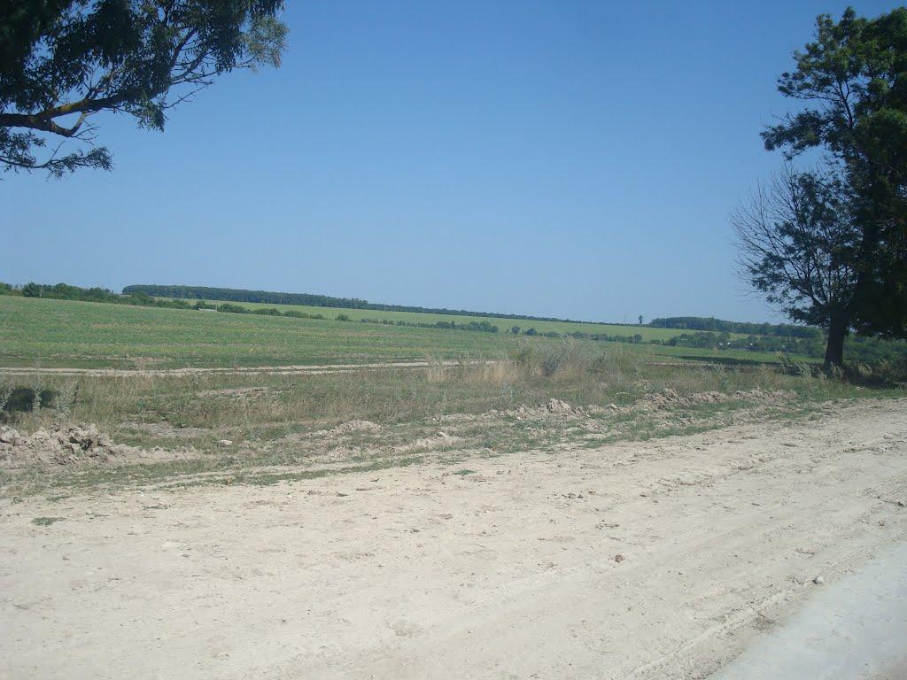 Ставчани з panoramio.com - Ставчаны