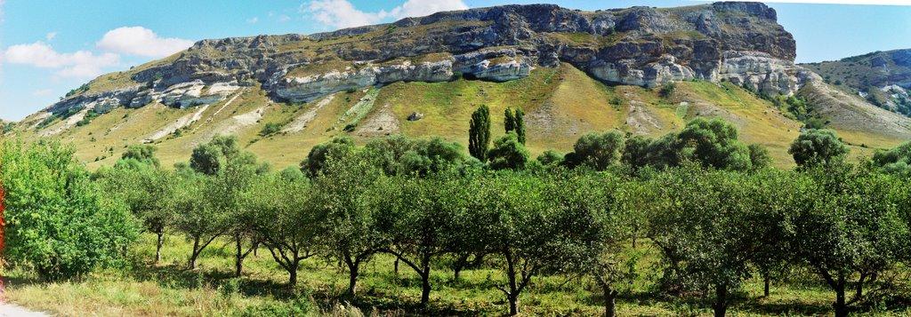 Мічурінське з panoramio.com - Мичуринское