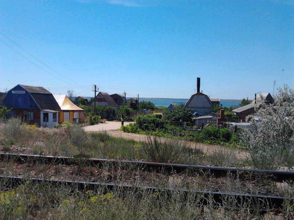 Галицинове з panoramio.com - Галициново
