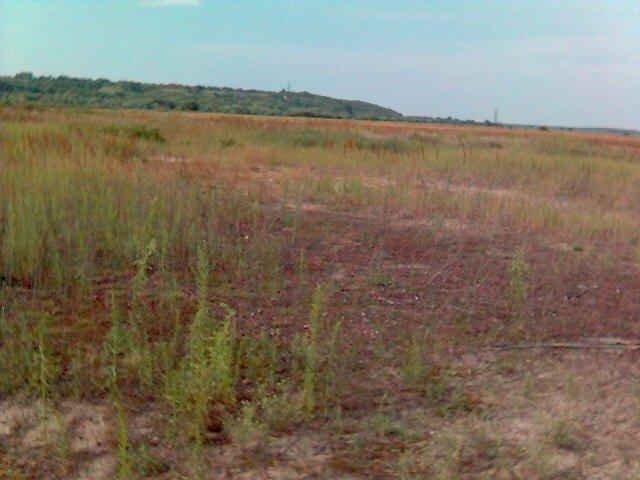 Дробишів з panoramio.com - Дробишів