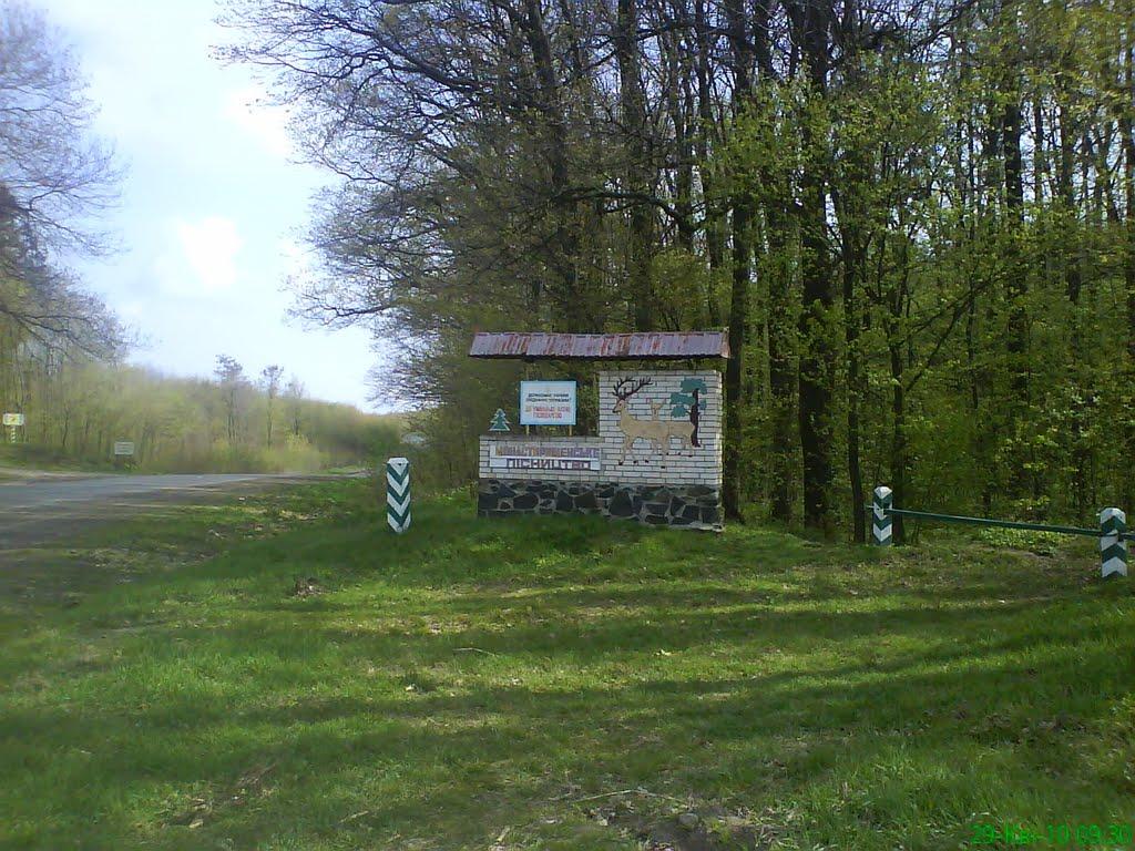 Монастирище з panoramio.com - Монастырище