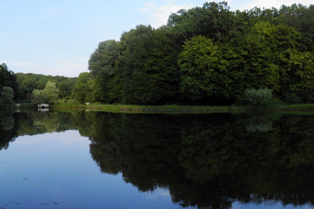 Верхівка з panoramio.com - Верховка