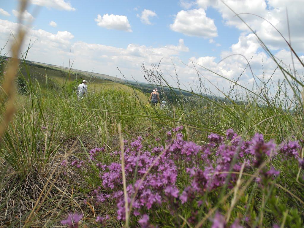 Кружилівка з panoramio.com - Кружиловка