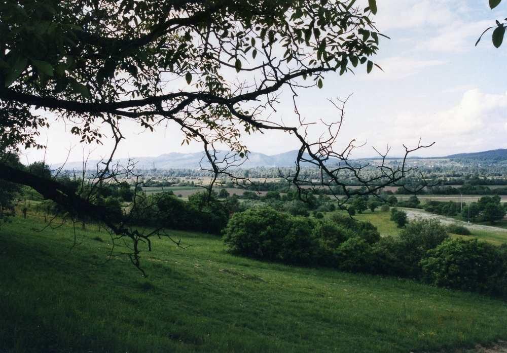 Біла Церква з panoramio.com - Біла Церква