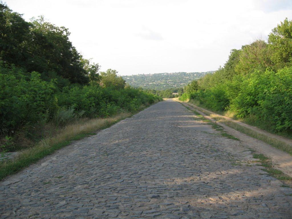 Хащувате з panoramio.com - Хащувате