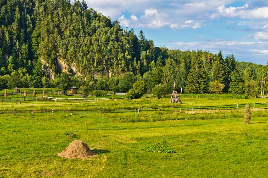 Гриньків з panoramio.com - Гриньків