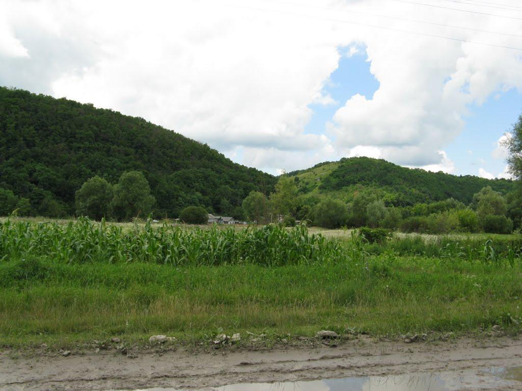 Миньківці з panoramio.com - Миньківці