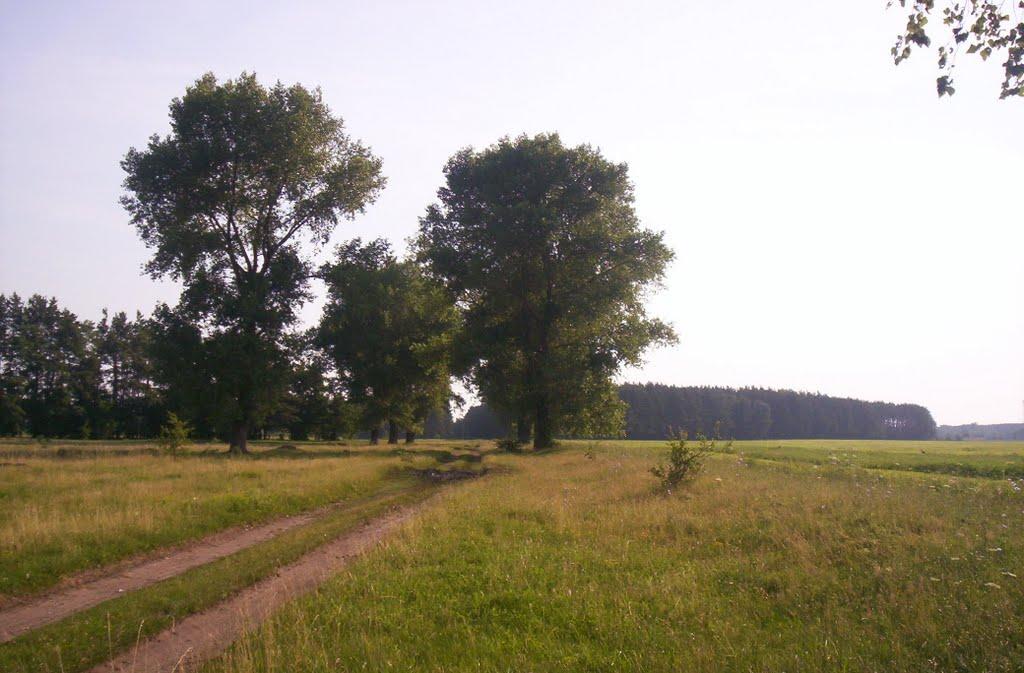 Максимівка з panoramio.com - Максимівка