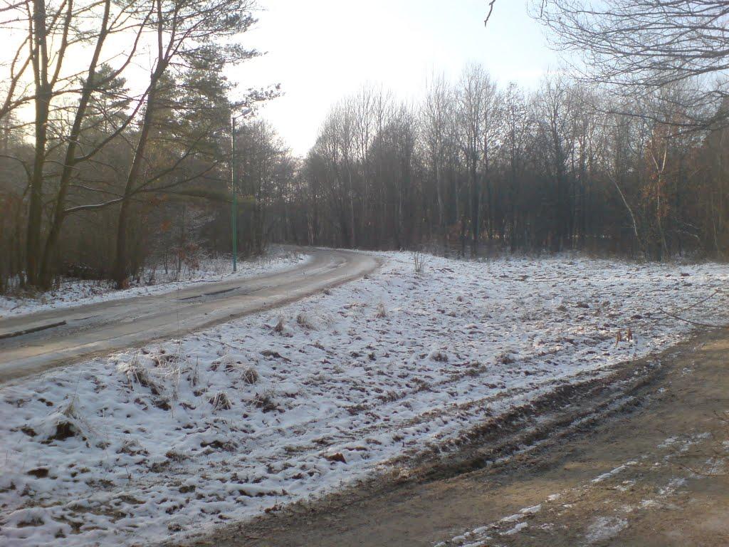 Новий Став з panoramio.com - Новий Став