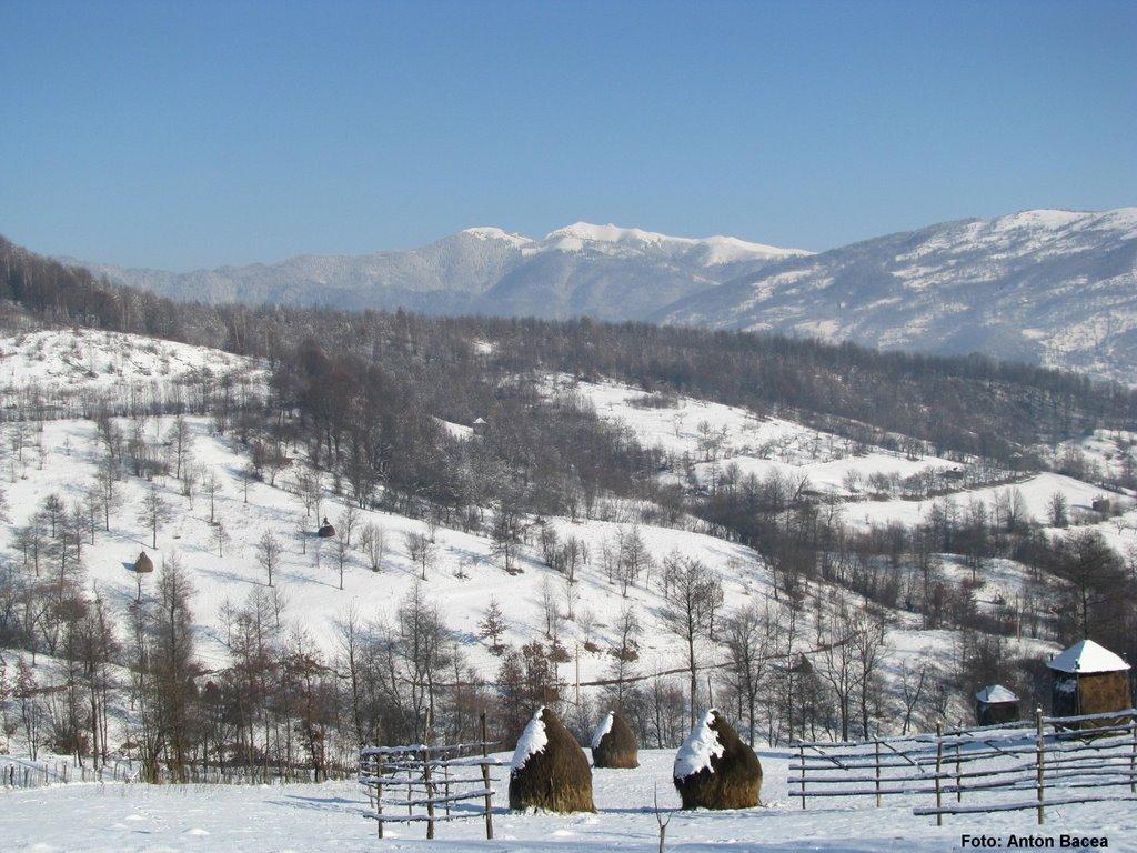 Хмелів з panoramio.com - Хмелів