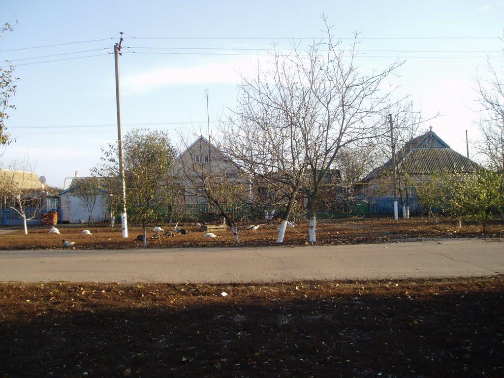 Михайлівка з panoramio.com - Михайлівка