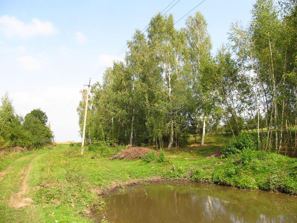 Крутнів з panoramio.com - Крутнев