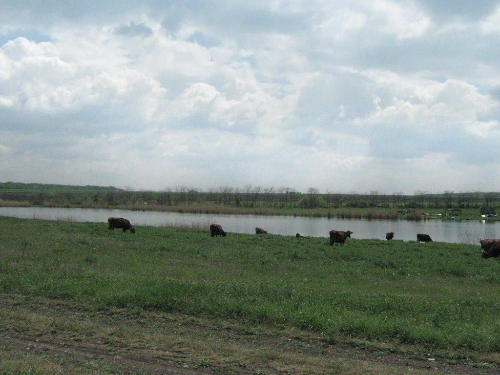Микільське з panoramio.com - Mykilske