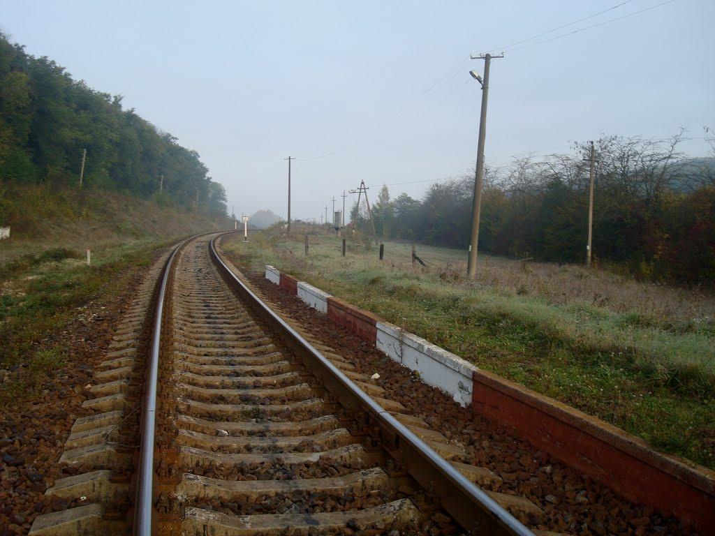 Лісогірка з panoramio.com - Лесогорка