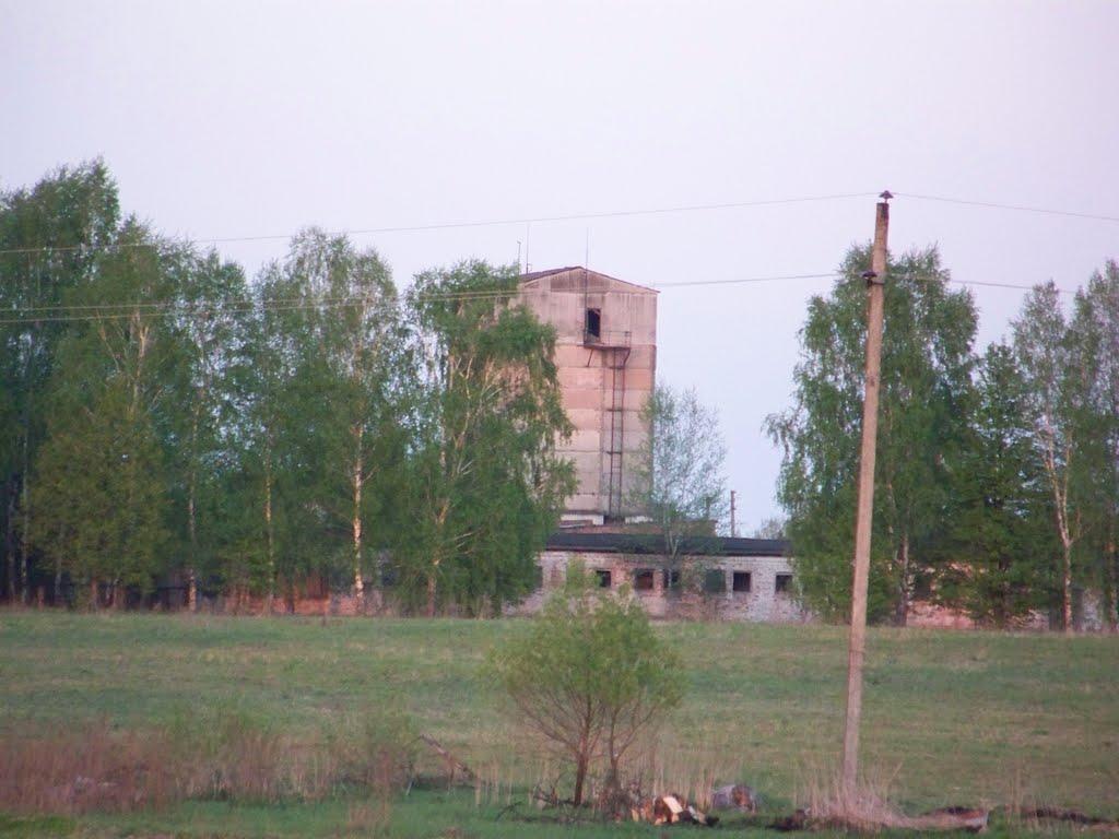 Чернацьке з panoramio.com - Чернацкое