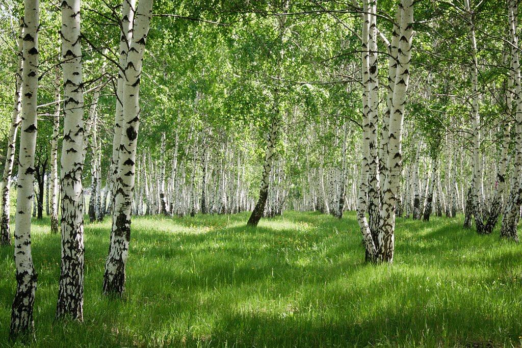 Попасна з panoramio.com - Popasna