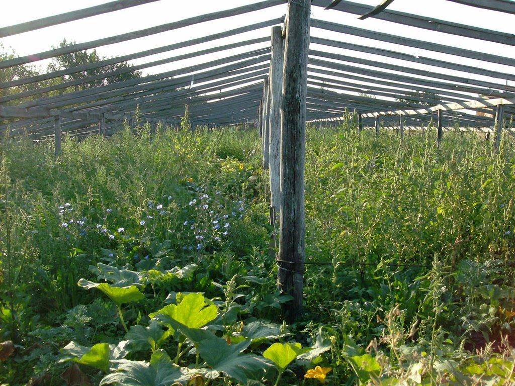 Серебрія з panoramio.com - Серебрія