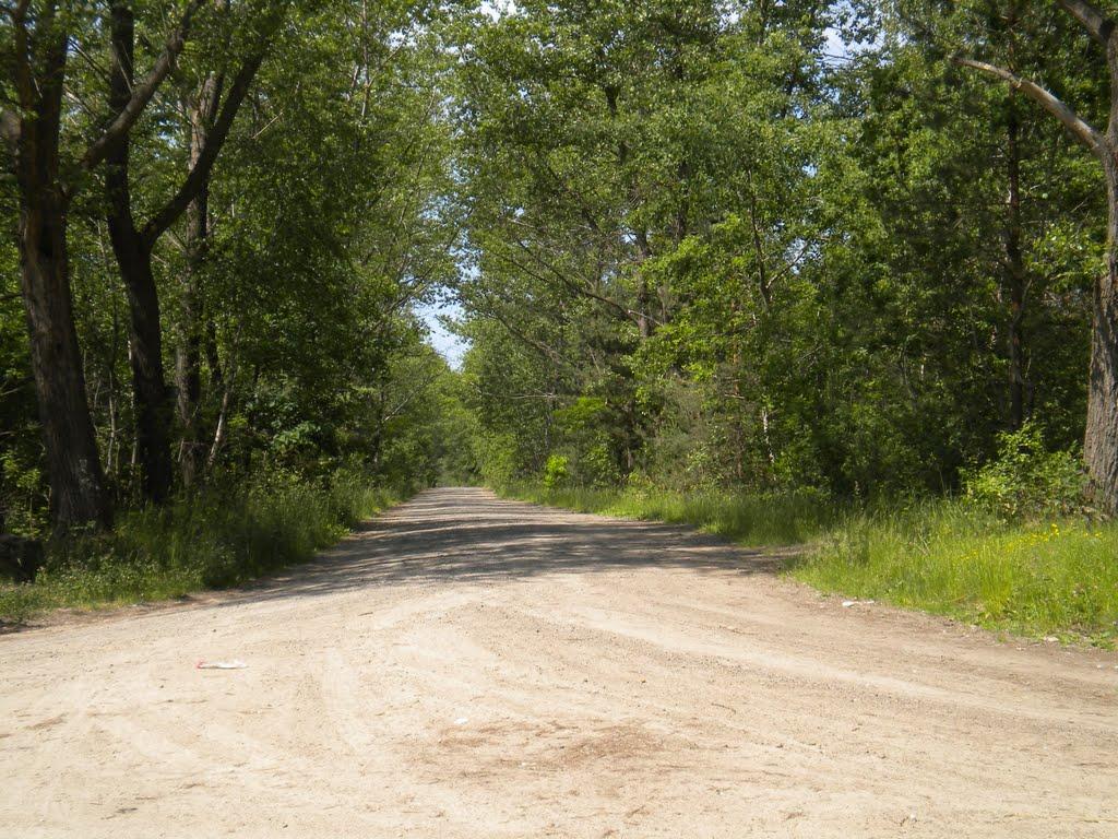Руда-Крехівська з panoramio.com - Руда-Креховская
