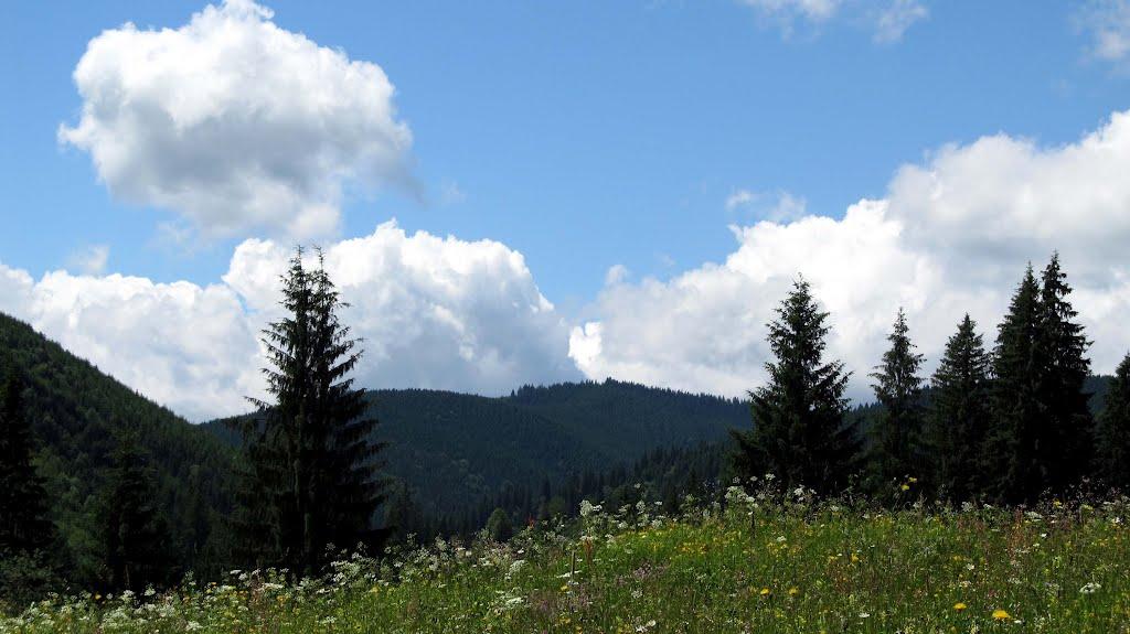 Буркут з panoramio.com - Буркут