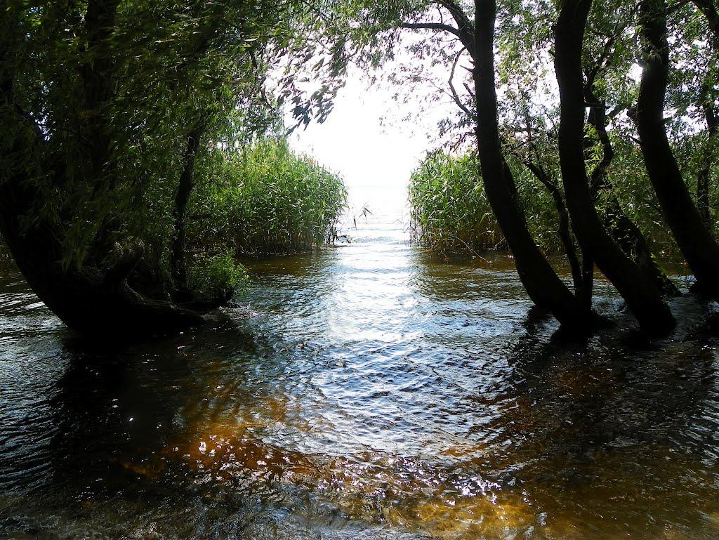 Чапаєвка з panoramio.com - Чапаевка