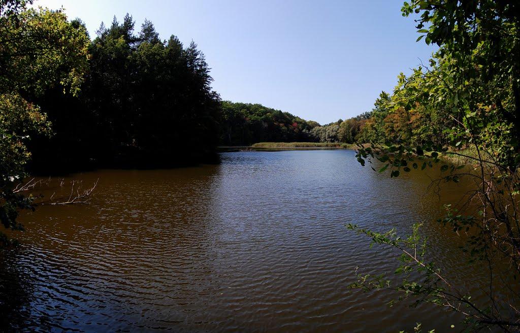 Суха Гомільша з panoramio.com - Сухая Гомольша