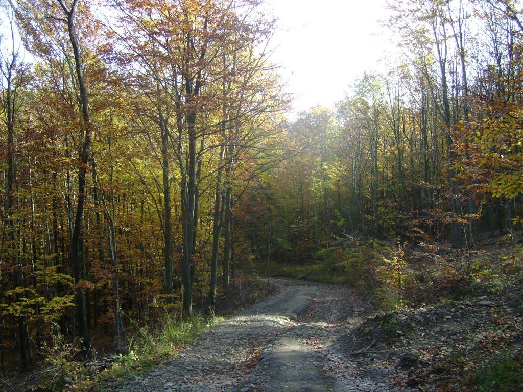 Кам'яниця з panoramio.com - Каменица