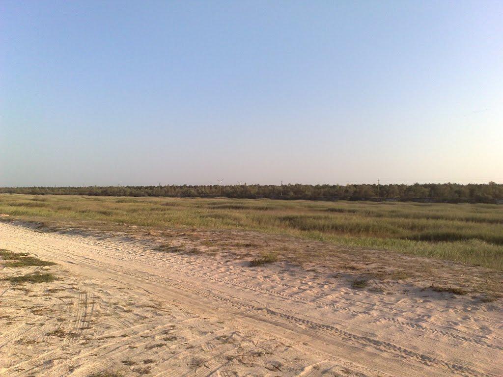 Щолкіне з panoramio.com - Щелкино