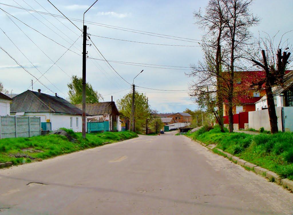 Звенигородка з panoramio.com - Zvenigorodka