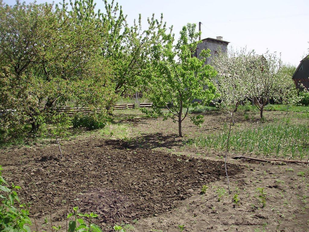 Темрюк з panoramio.com - Temryuk