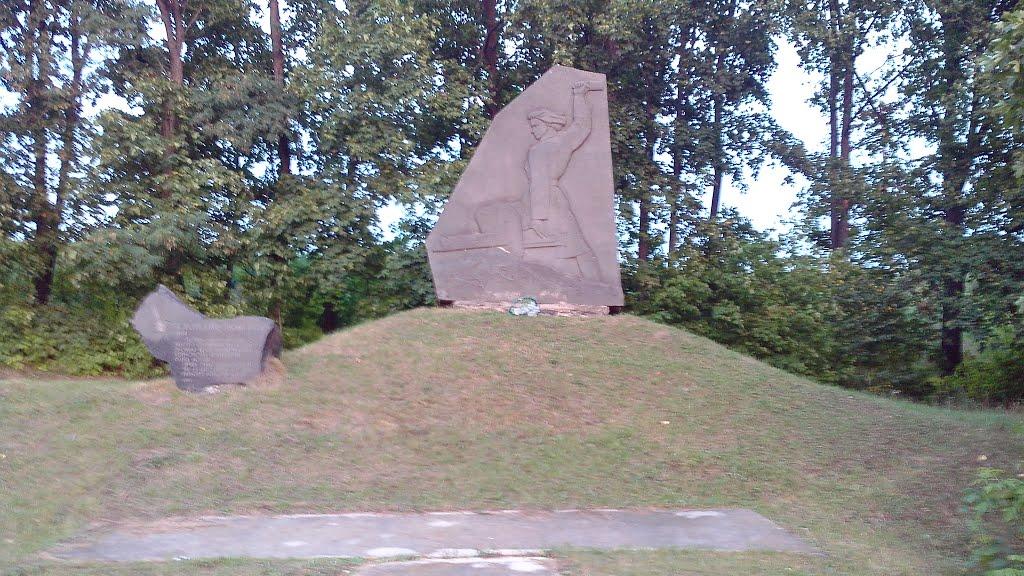 Вільшана з panoramio.com - Вільшана